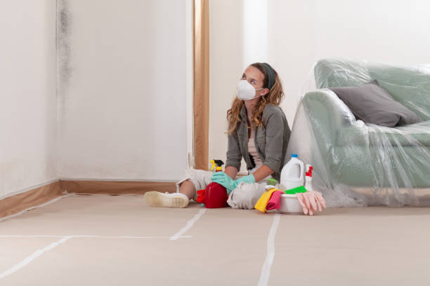 Reliable Black Mold Removal contractor in Mount Ephraim, NJ by WQB Mold Removal